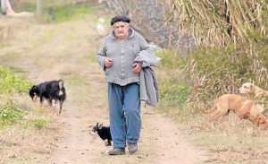 Uruguayský prezident José Mujica v pracovním. Foto: Porimpatria.org